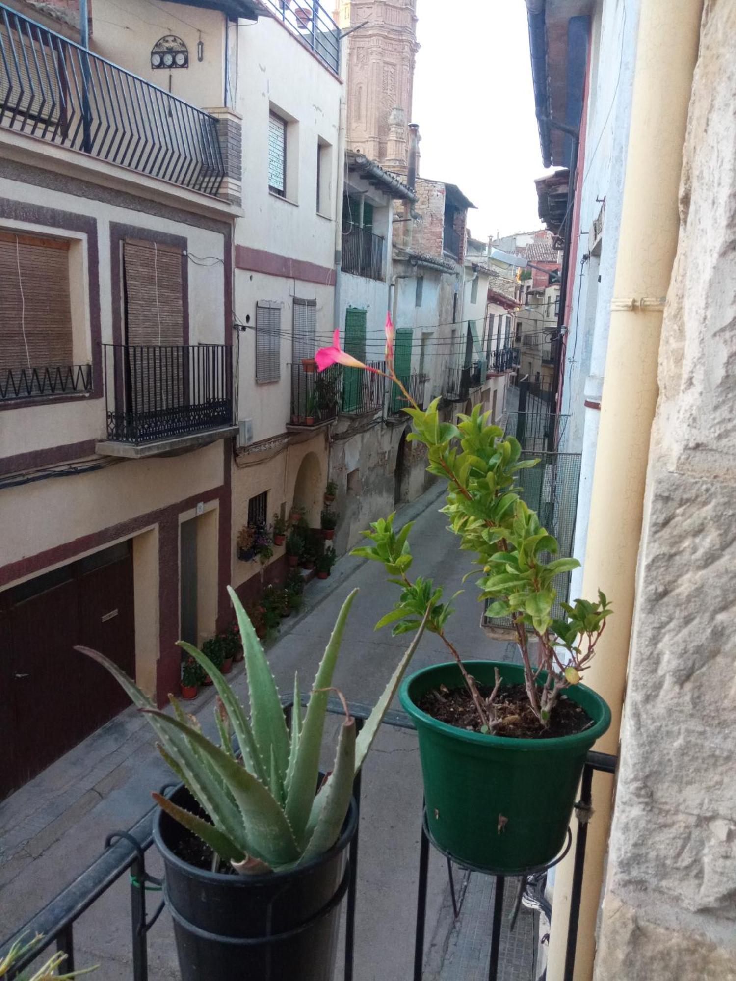 Apartmán Musas Gastro Casa Rural Valdealgorfa Exteriér fotografie